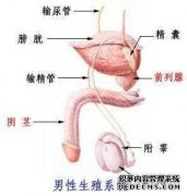 龙岩尿频是前列腺炎吗